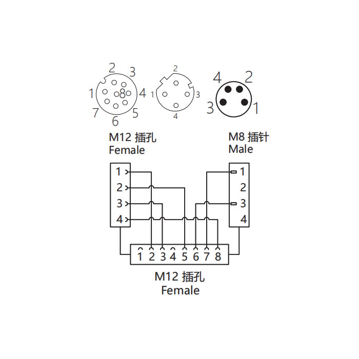 M12 8Pin female/M12 4Pin female D-coded+M8 4Pin male、Y-connector、 648D41