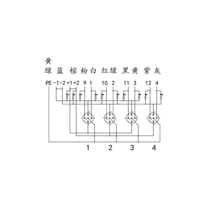 M12分线盒、双通道、PNP、4端口一体式、带LED、PCB端子带插头、24P4SG