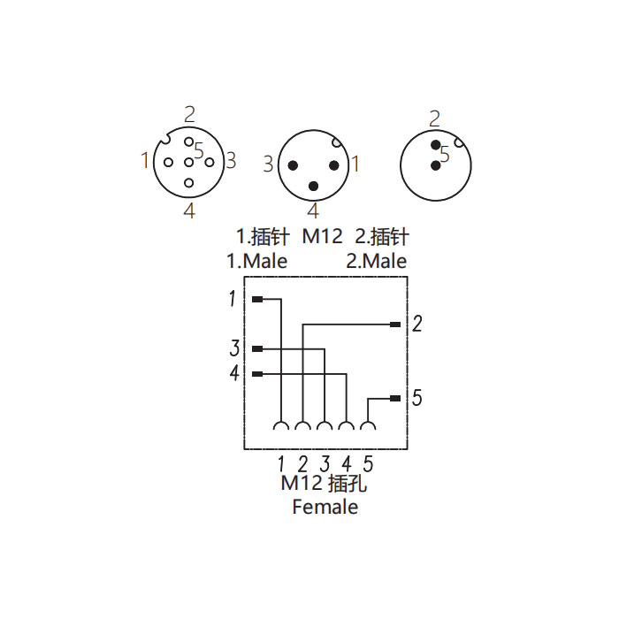 M12 5Pin母头 转 M12 3Pin公头+M12 2Pin公头、Y型连接器、645231