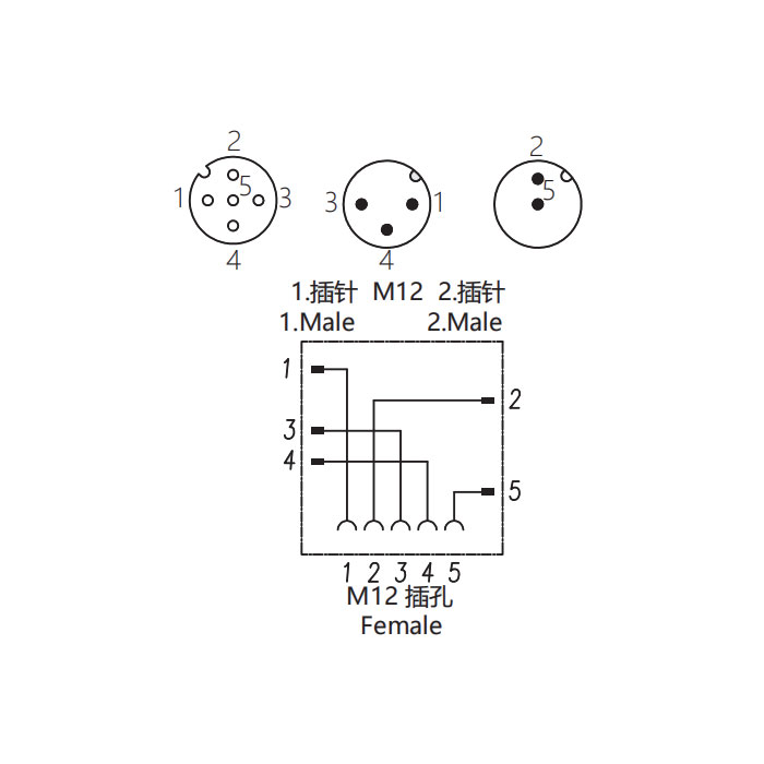 M12 5Pin母头/M12 3Pin公头+M12 2Pin公头、三通接头、645231