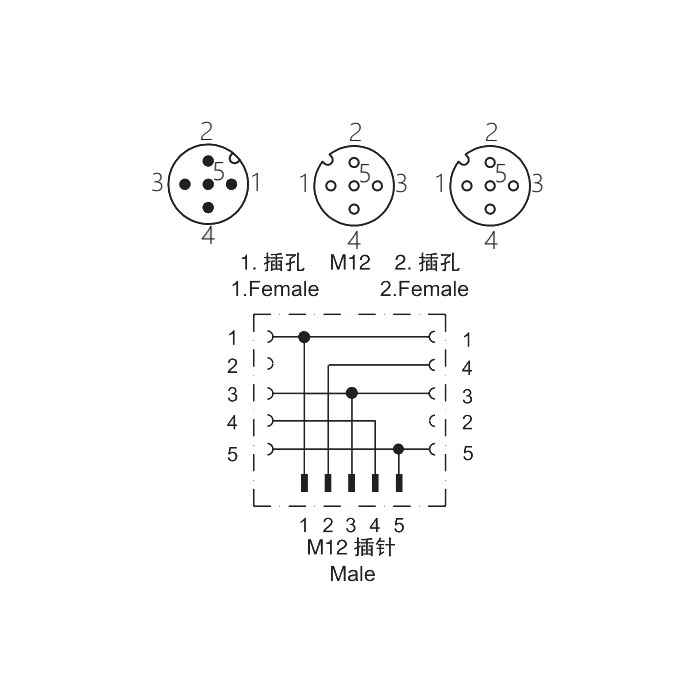 M12 5Pin公头 转 2xM12 4Pin母头、Y型插接器、644441
