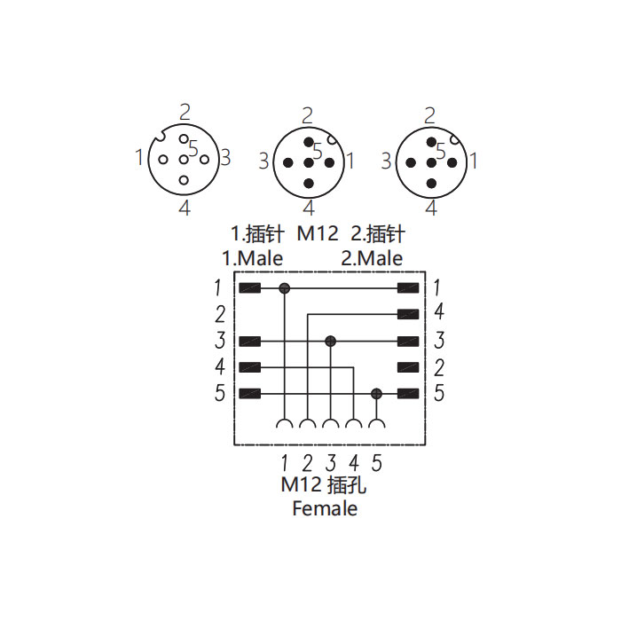 M12 5Pin母头 转 2xM12 4Pin公头、三通接头、644446