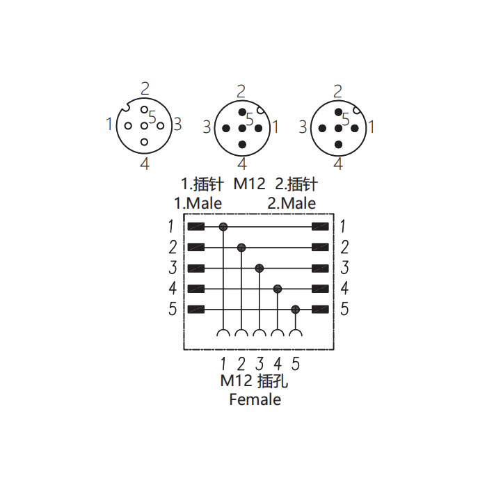 M12 5Pin、母头 转 2xM12公头、三通接头、644456