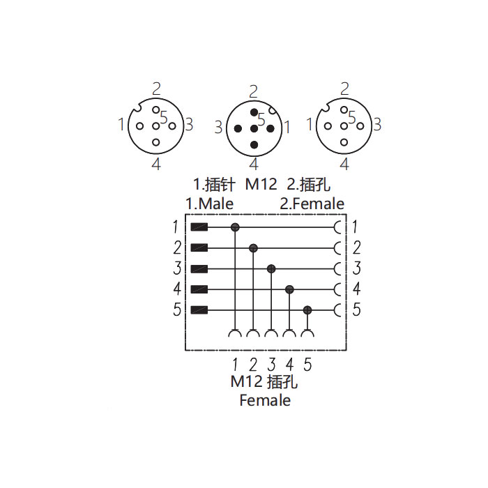 M12 5Pin、母头 转 M12公头+M12母头、三通接头、644443