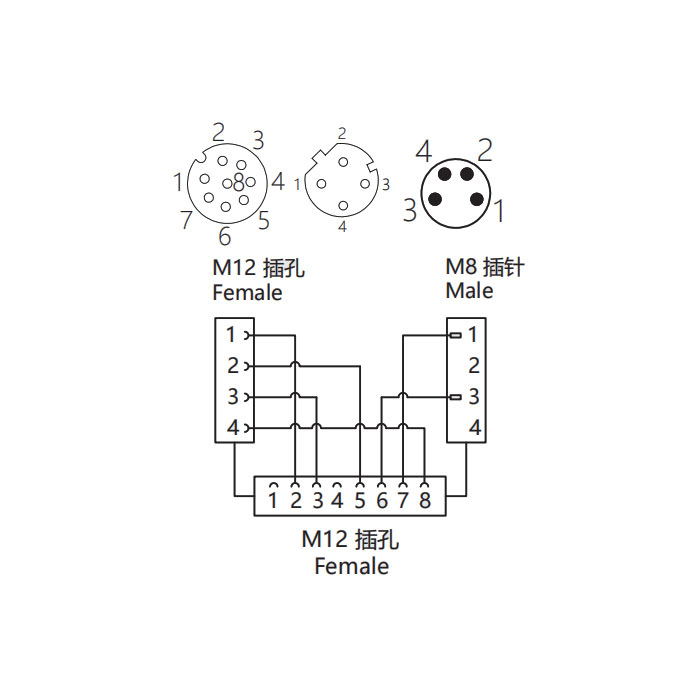 M12 8Pin母头 转 M12 4Pin母头D-coded+M8 2Pin公头、三通接头、648D41