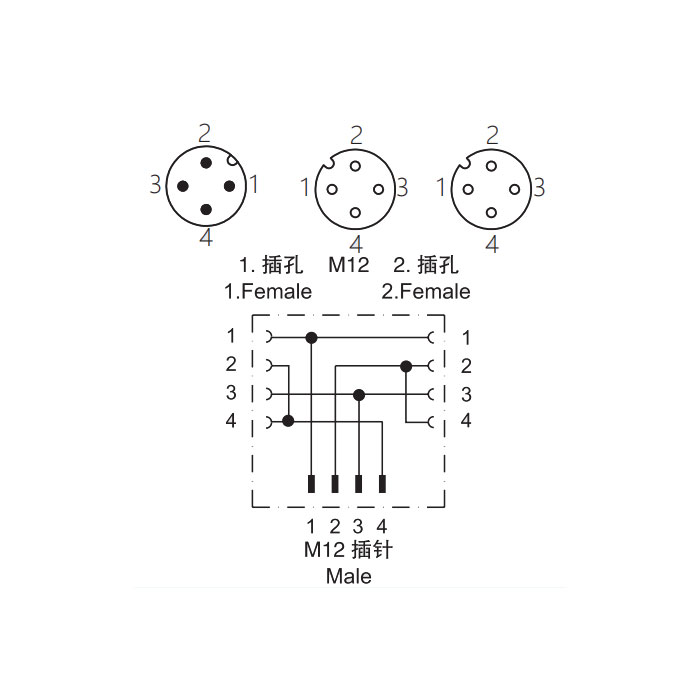 M12 4Pin公头 转 2xM12 4Pin母头、Y型插接器、644461