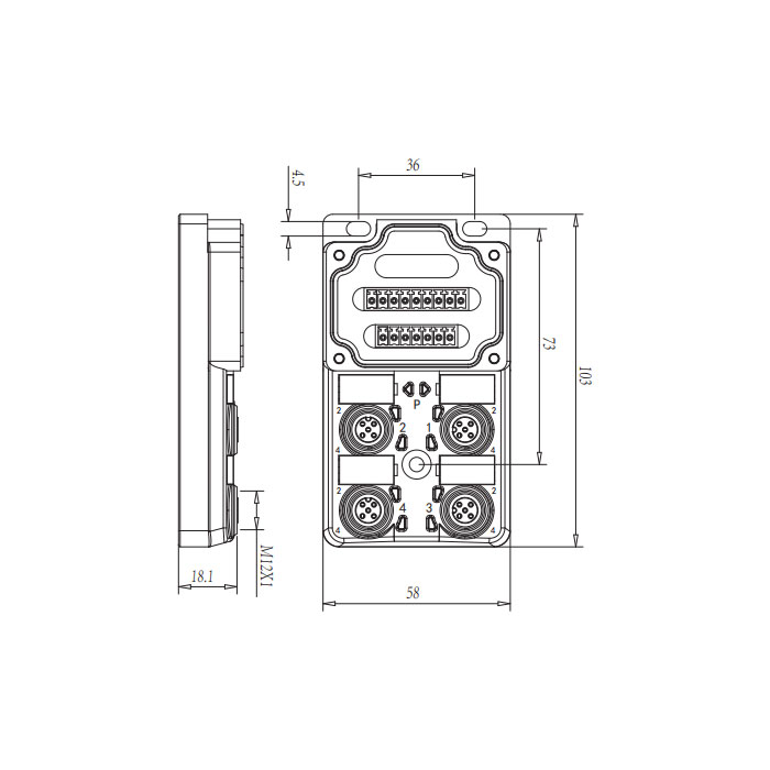 M12分线盒、双通道、NPN、4端口分体式、带LED、PCB端子、24N40G