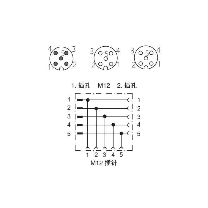 M12 5Pin、母头 转 M12公头+M12母头、T型连接器、0C4555